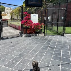 SoFA Pocket Park - Entrance to the doggy park