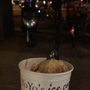 Photo of Yo Yo's icecorner