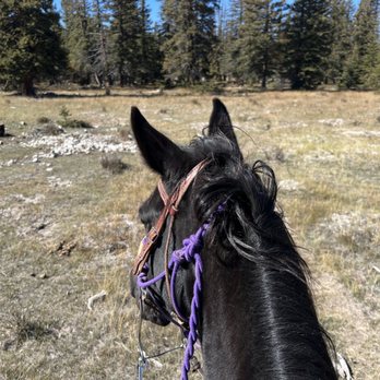 Platte Ranch Double B Riding Stables - Horseback Riding Near Me Platte Ranch Double B Riding Stables - Horseback Riding Near Me