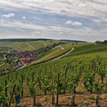terroir f Volkach - Weinland (11/2018) - Landmarks & Historical Buildings Near Me - Nuremberg, BY terroir f Volkach - Weinland (11/2018) - Landmarks & Historical Buildings Near Me - Nuremberg, BY