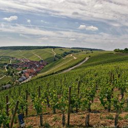 terroir f Volkach - Weinland (11/2018)