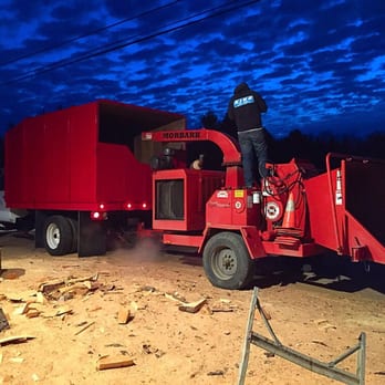 Mr. Tree - Tree Services Near Me Mr. Tree - Tree Services Near Me