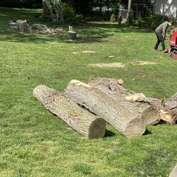 Eagles Tree Service