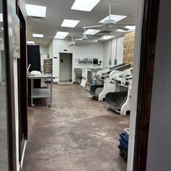 Where the magic begins!