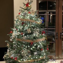 Willie D's Christmas Trees
