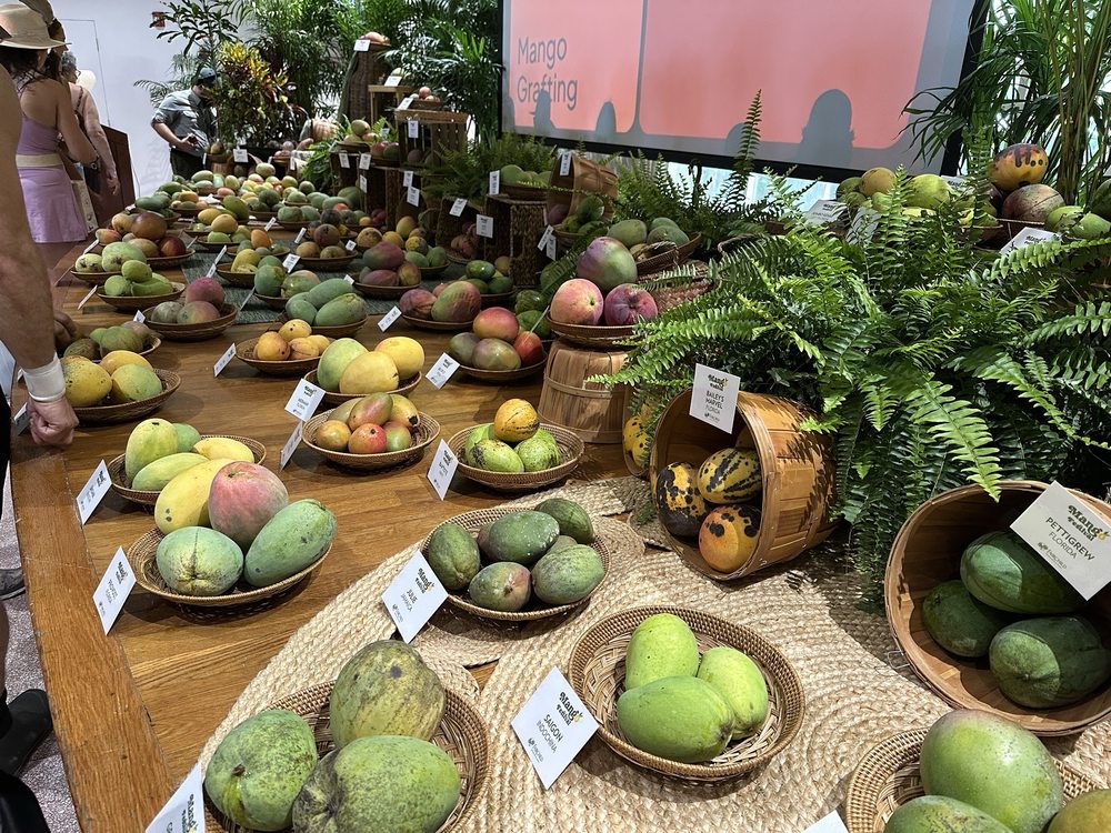 International Mango Festival At Fairchild Botanical Garden