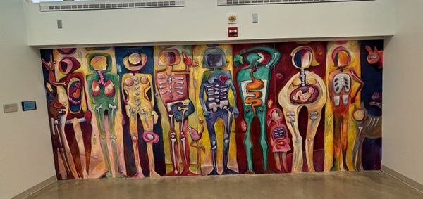National Museum of Health and Medicine by null