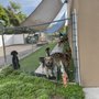 Photo of Preppy Pet Tampa West