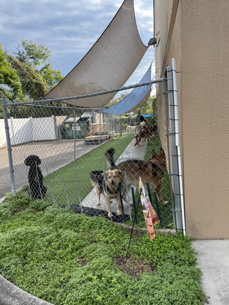 Preppy Pet Tampa West - pet boarding facility in Tampa, FL