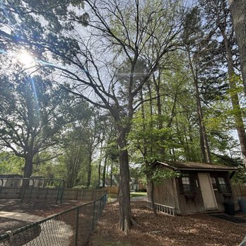 Sherman’s Tree Services - Tree Services Near Me - Mooresville , North Carolina Sherman’s Tree Services - Tree Services Near Me - Mooresville , North Carolina