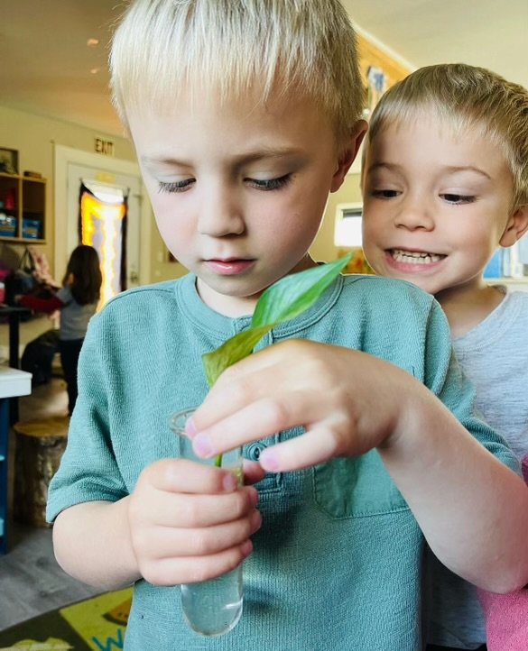 Sai's Sprouts - childcare center in Cotati, CA
