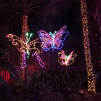 Florida Botanical Gardens - Butterflies - Botanical Gardens Near Me - Largo, Florida