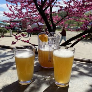 Photo of Wedge Brewing Company - Asheville, NC, United States. Witbier.