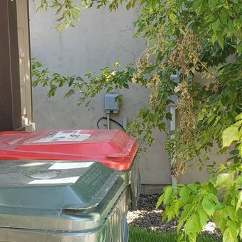 Cornerstone Property Management - Tree not trimmed. - Property Management Near Me - Meridian, Idaho