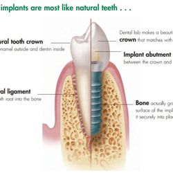 Cui Xuewen Shawn, DDS