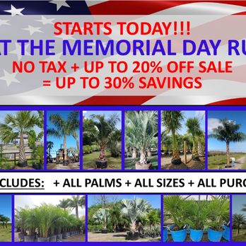 Palm Professionals Tropical Nursery - NO TAX Pre-Memorial Day Sale Plus Up To 20% Off - Tree Services Near Me - Sugar Land, Texas Palm Professionals Tropical Nursery - NO TAX Pre-Memorial Day Sale Plus Up To 20% Off - Tree Services Near Me - Sugar Land, Texas