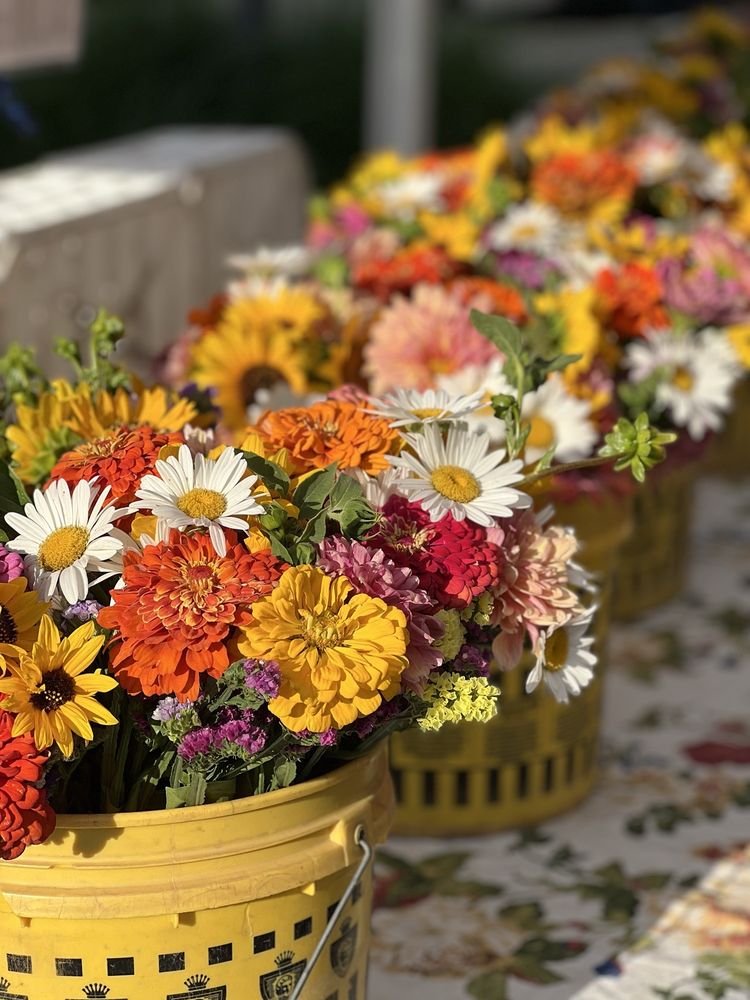El Dorado Hills Certified Farmers’ Market Logo