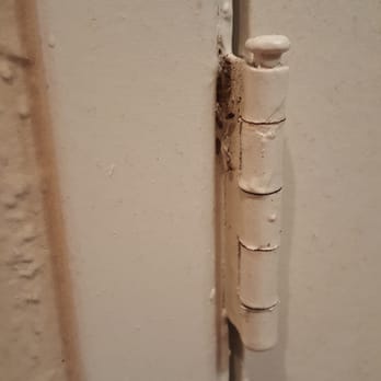 Baybrook Village - Baby roaches and roach eggs in the doors. - Apartments Near Me - Webster, Texas