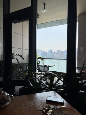 The Legacy House by null