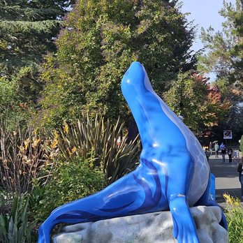 Six Flags Discovery Kingdom - Art display - Amusement Parks Near Me - Vallejo, California