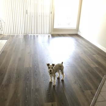 A1 Carpet Flooring - New floor Bruce recommended! Good with pet! - Carpeting Near Me - Thousand Oaks, California