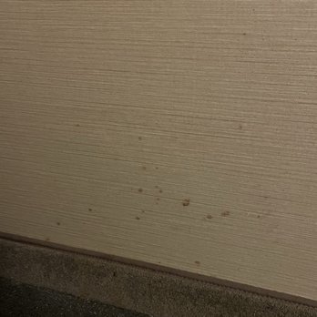 Comfort Inn - Coffee(?) on the walls - Hotels Near Me - White River Junction, Vermont