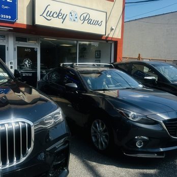 Lucky Paws Pet Grooming - Pet Groomers Near Me - New Hyde Park, New York