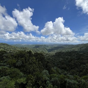 El Yunque Rainforest - View of the beach from 2,500 ft - Hiking Near Me - Luquillo, Puerto Rico El Yunque Rainforest - View of the beach from 2,500 ft - Hiking Near Me - Luquillo, Puerto Rico