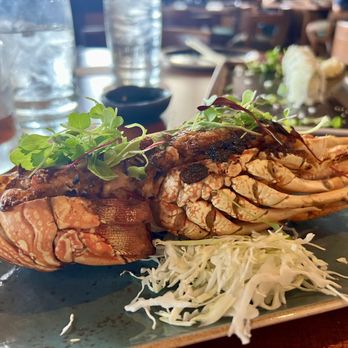 Stevenson's Library - Stuffed lobster!!! - Bars Near Me - Koloa, Hawaii Stevenson's Library - Stuffed lobster!!! - Bars Near Me - Koloa, Hawaii