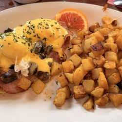 The Frog Pond SPB - Frog Benedict