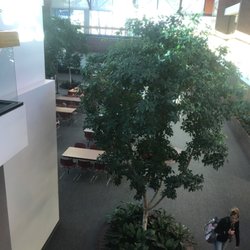Academy District 20 Education and Administration Center - Downstairs meeting and dining area