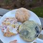 Great Harvest Bread