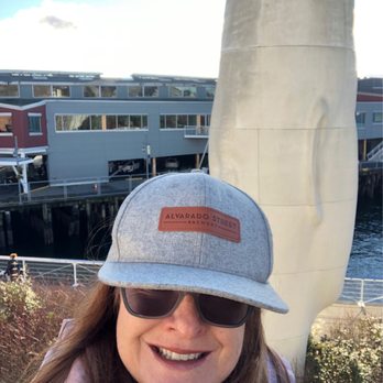 Olympic Sculpture Park - Loving the sunshine . - Parks Near Me - Seattle, Washington Olympic Sculpture Park - Loving the sunshine . - Parks Near Me - Seattle, Washington