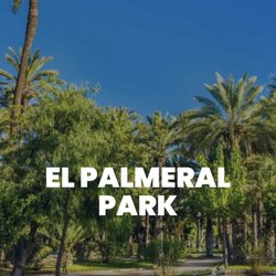 El Palmeral - Parque El Palmeral in Alicante (not the same as the UNESCO one in Elche)