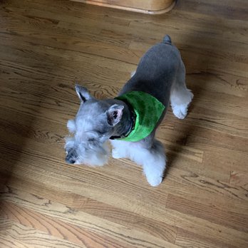 Laralea's Dog Spa - Pet Groomers Near Me - Tulsa, Oklahoma Laralea's Dog Spa - Pet Groomers Near Me - Tulsa, Oklahoma
