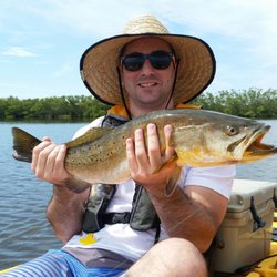 Local Lines Charters