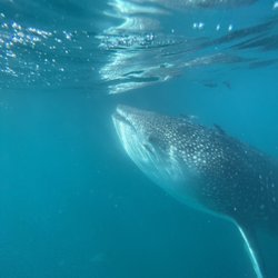 La Paz VIP Tours - December third trip (day after second trip)