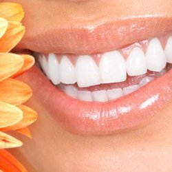 Signature Smiles - Creating Healthy Smiles