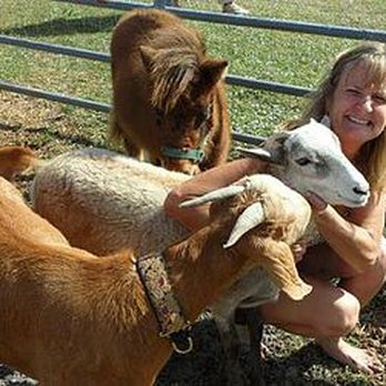 Critter Caravan - Petting Zoos Near Me Critter Caravan - Petting Zoos Near Me