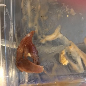 KFC - the old looking chicken i found inside the gravy it's not burn it's just turning black.. - Fast Food Near Me - Alameda, California