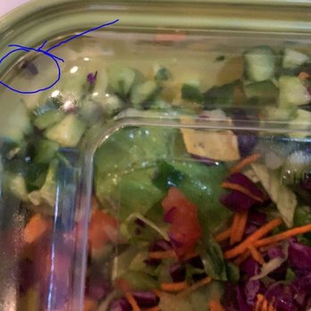 Stonefire Grill - Upper left corner. Live insect inside. - American Near Me - Thousand Oaks, California Stonefire Grill - Upper left corner. Live insect inside. - American Near Me - Thousand Oaks, California