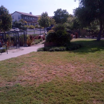 Bressi Ranch Dog Park - Dog Parks Near Me - Carlsbad, California