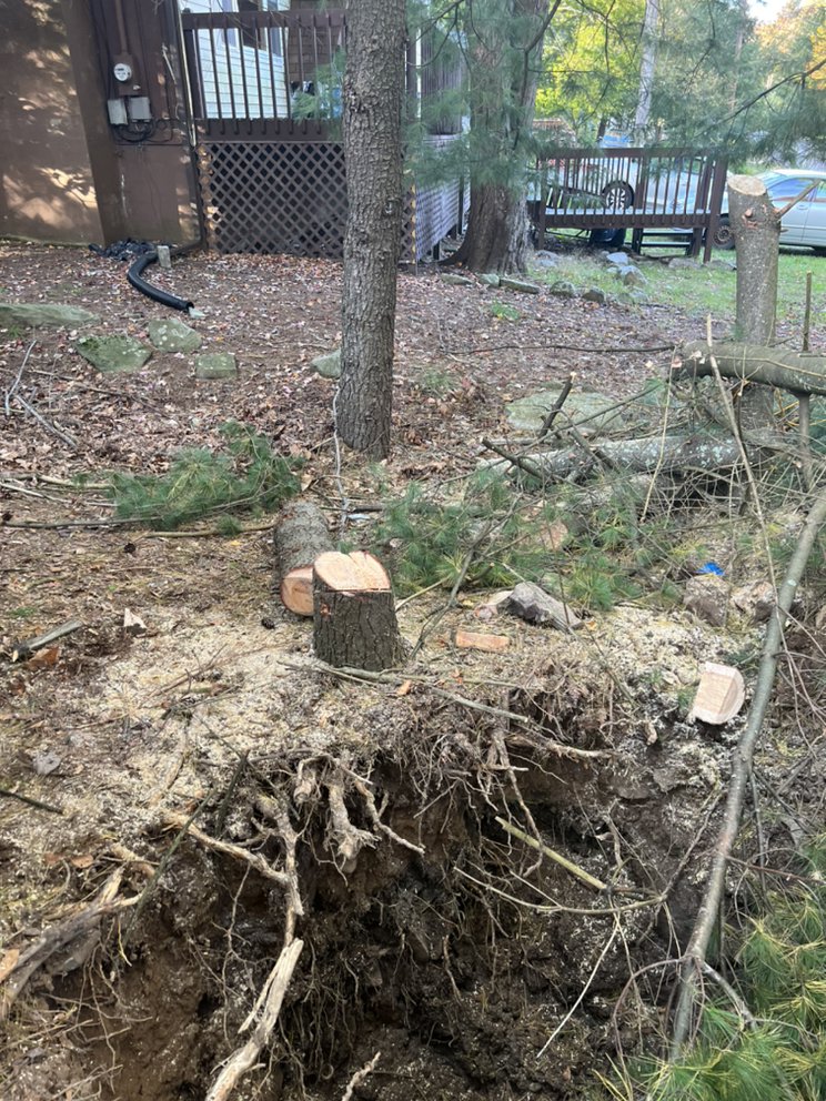 Slide of Strouds Multi Services