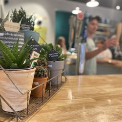 Milton 66 - House plants for sale on the bar.