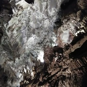 Penn's Cave & Wildlife Park - Historical Tours Near Me - Centre Hall, Pennsylvania Penn's Cave & Wildlife Park - Historical Tours Near Me - Centre Hall, Pennsylvania