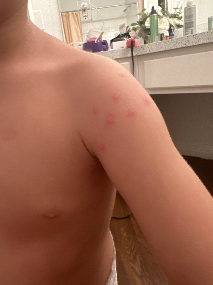 West End Daycare - childcare center in Houston, TX