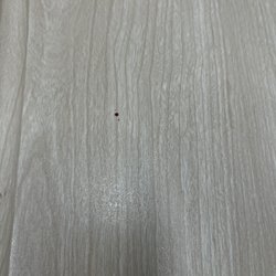 Piedmont Medical Center Gold Hill Emergency Department - Closer pic of dried blood on table
