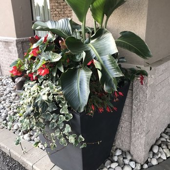 Best Western Halton Hills - Outdoor plants at entrance - Hotels Near Me - Georgetown, Ontario Best Western Halton Hills - Outdoor plants at entrance - Hotels Near Me - Georgetown, Ontario