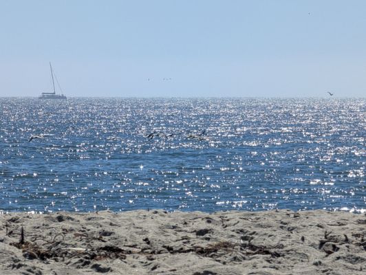 Twin Lakes State Beach by null