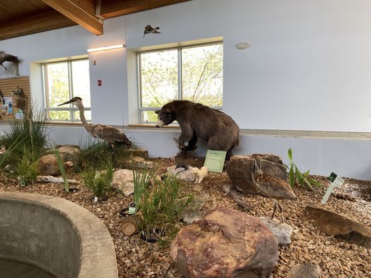 Anita B. Gorman Conservation Discovery Center by null